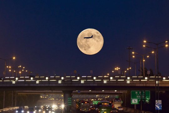 十六的月亮搞笑句子