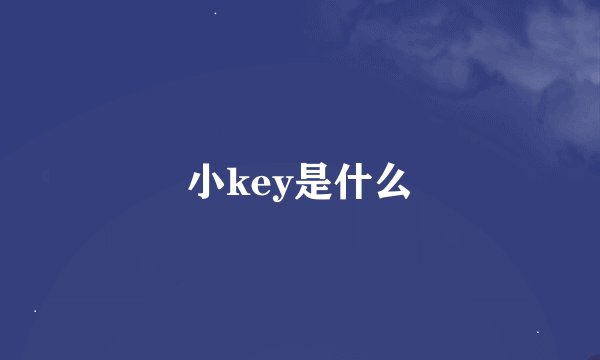 小key是什么