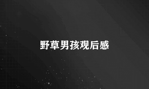 野草男孩观后感