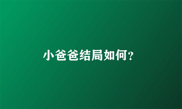 小爸爸结局如何？