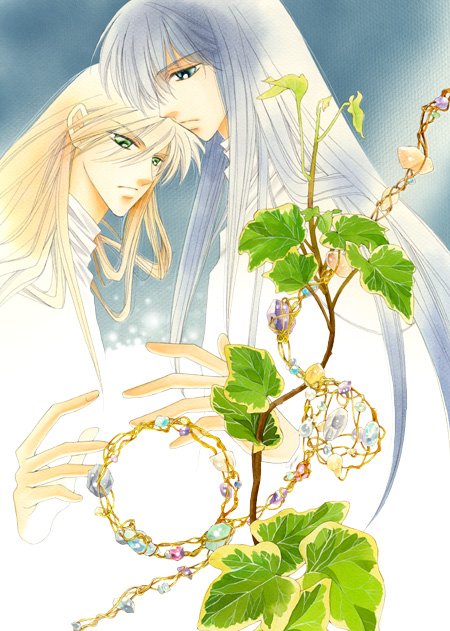 星宿魔法使的介绍