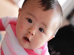 寄居人的基本信息