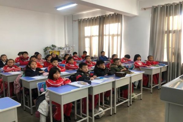 五上课文小岛的背景是什么