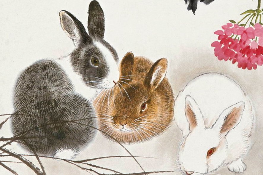 同室操戈什么生肖