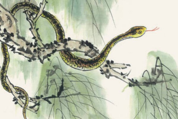 轻浪浮薄打一动物生肖