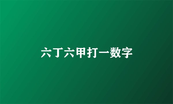六丁六甲打一数字