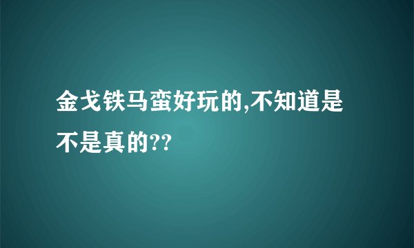 金戈铁马蛮好玩的,不知道是不是真的??