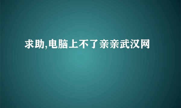 求助,电脑上不了亲亲武汉网