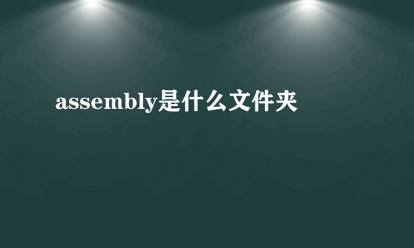 assembly是什么文件夹