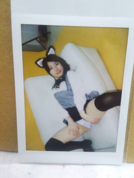 佐野芹香的简介