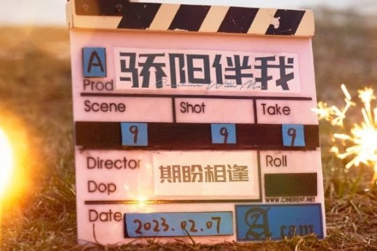 骄阳伴我是哪个小说改编的