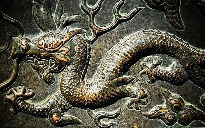 有影无踪打一个生肖动物