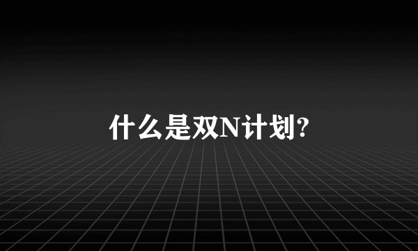什么是双N计划?