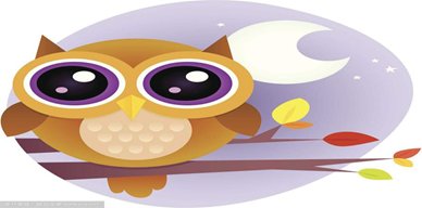 猫头鹰为什么被称为“夜猫子”？