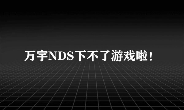 万宇NDS下不了游戏啦！