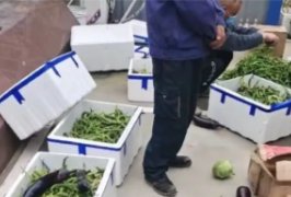 云南援沪物资烂掉没人要被拉到工地，官方回应:假的，事情真相是什么？