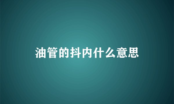 油管的抖内什么意思