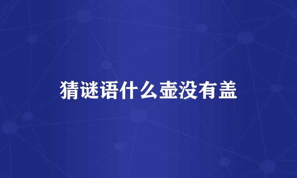 猜谜语什么壶没有盖