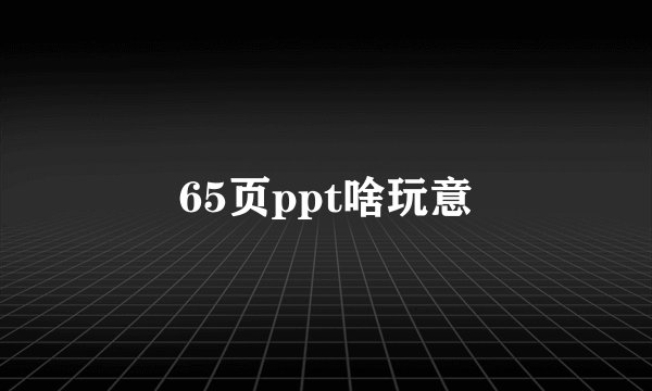 65页ppt啥玩意