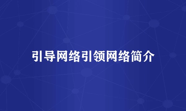 引导网络引领网络简介