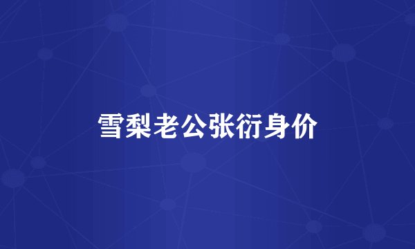 雪梨老公张衍身价
