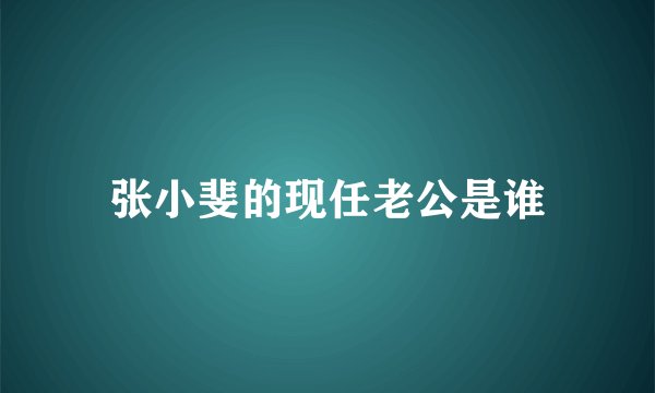 张小斐的现任老公是谁