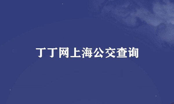 丁丁网上海公交查询