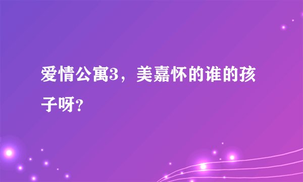 爱情公寓3，美嘉怀的谁的孩子呀？