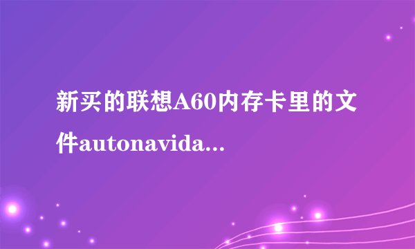新买的联想A60内存卡里的文件autonavidata50是什么？
