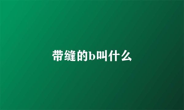 带缝的b叫什么