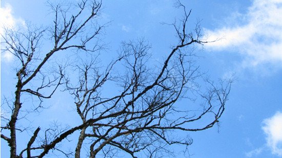 洪立仪的个人简介