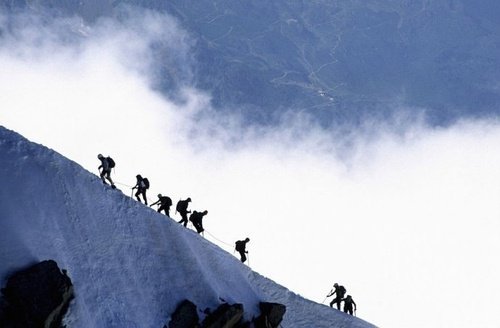 高岛佑的个人履历