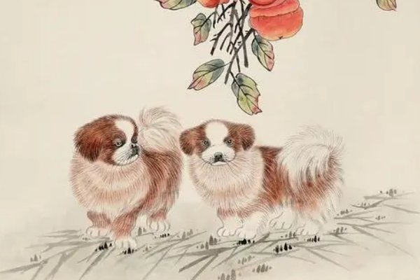 贼走关门代表什么生肖呢动物