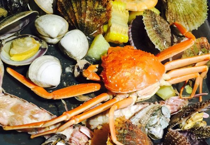 海产品打一商业用语谜底