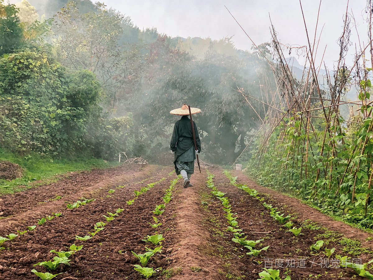 独身一人生活好吗？