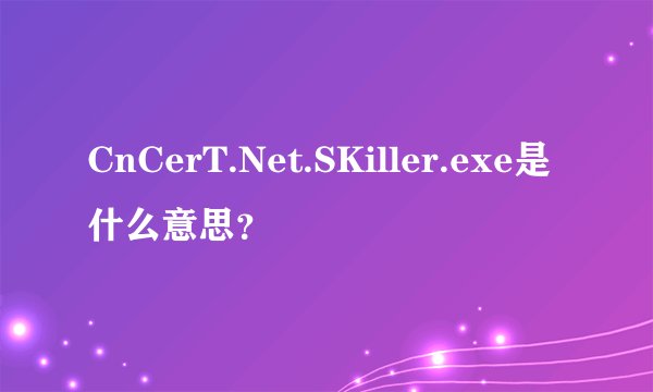 CnCerT.Net.SKiller.exe是什么意思？