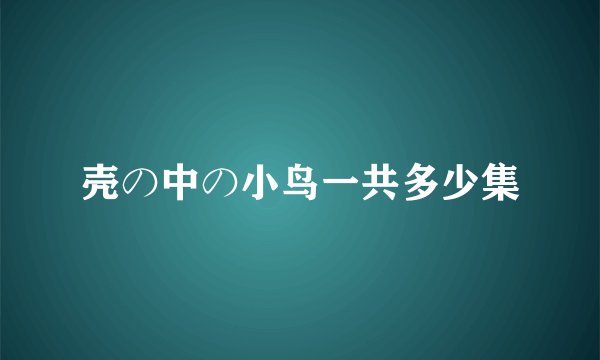 壳の中の小鸟一共多少集