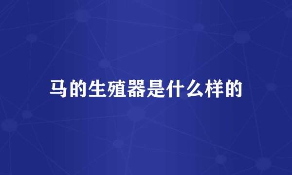 马的生殖器是什么样的