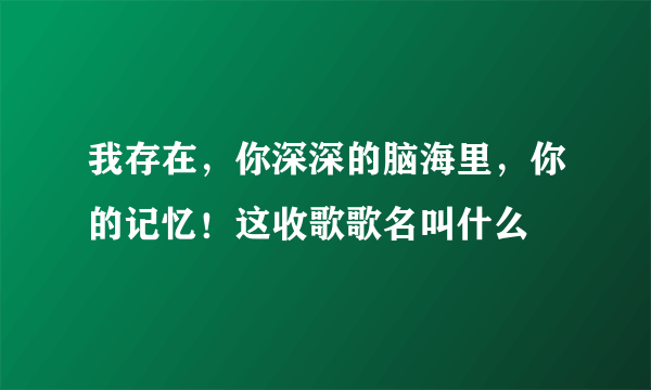 我存在，你深深的脑海里，你的记忆！这收歌歌名叫什么