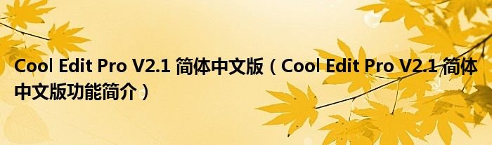 CoolEditProV21简体中文版CoolEditProV21简体中文版功能简介