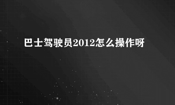 巴士驾驶员2012怎么操作呀