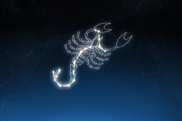 10月24日出生是什么星座？