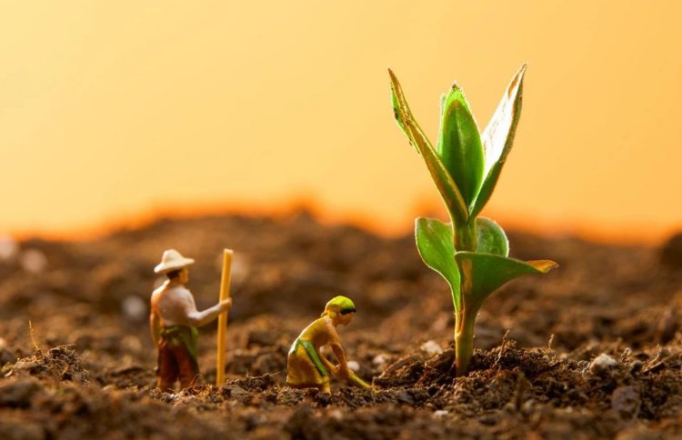 嫩芽研究所隐藏入口在哪