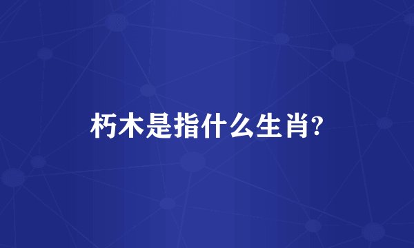 朽木是指什么生肖?