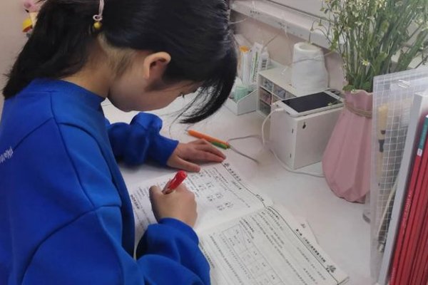 守法奉公猜一生肖