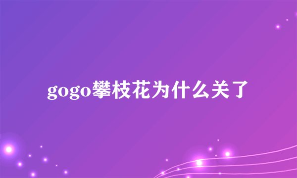 gogo攀枝花为什么关了