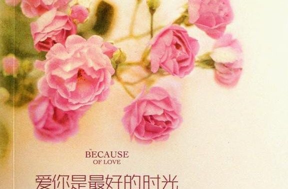 有谁看完了那个《爱你是最好的时光》结局是怎样的？