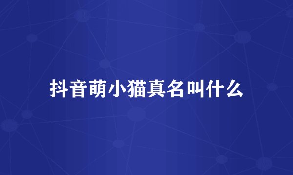 抖音萌小猫真名叫什么