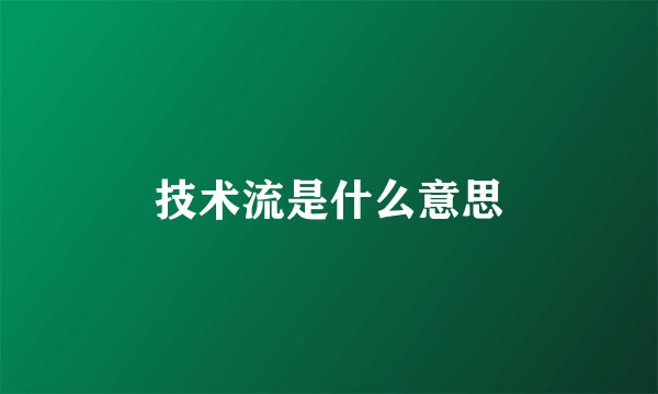 技术流是什么意思
