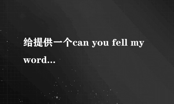 给提供一个can you fell my word歌的歌词？